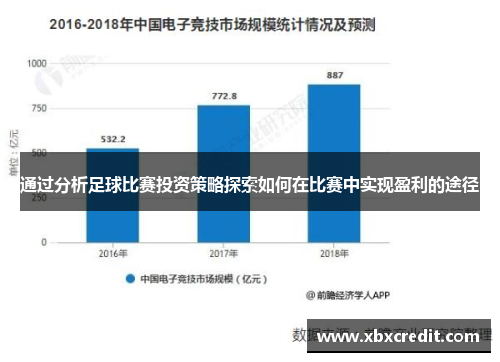 通过分析足球比赛投资策略探索如何在比赛中实现盈利的途径